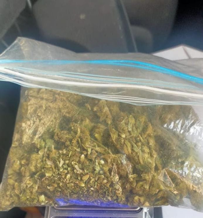 Detiene SSP a uno en posesión de marihuana | - Vimarsana News